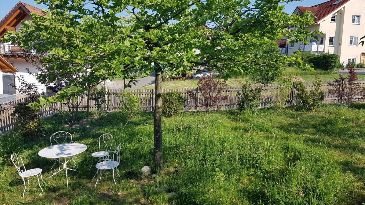 Historisches Fachwerkhaus "Hoher Hirschen" - Stilvolles Studio Und Museales Apartment Mit Romantischem Hof Und Garten Бодман-Лудвигсхафен Екстериор снимка