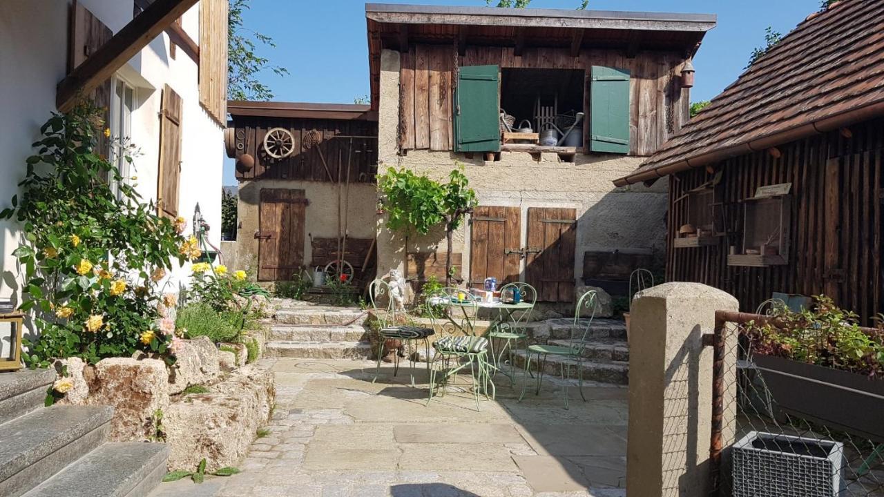 Historisches Fachwerkhaus "Hoher Hirschen" - Stilvolles Studio Und Museales Apartment Mit Romantischem Hof Und Garten Бодман-Лудвигсхафен Екстериор снимка