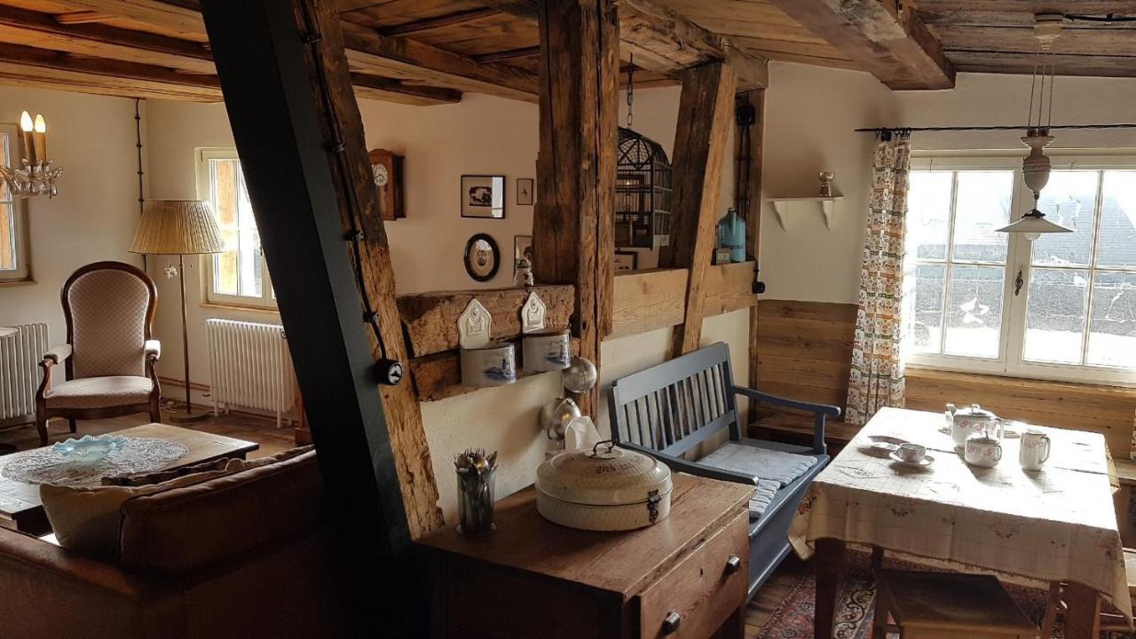 Historisches Fachwerkhaus "Hoher Hirschen" - Stilvolles Studio Und Museales Apartment Mit Romantischem Hof Und Garten Бодман-Лудвигсхафен Екстериор снимка