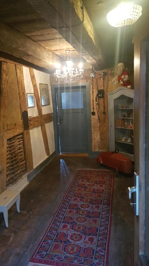 Historisches Fachwerkhaus "Hoher Hirschen" - Stilvolles Studio Und Museales Apartment Mit Romantischem Hof Und Garten Бодман-Лудвигсхафен Екстериор снимка